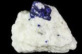 Lazurite Crystal in Marble Matrix - Afghanistan #111764-1